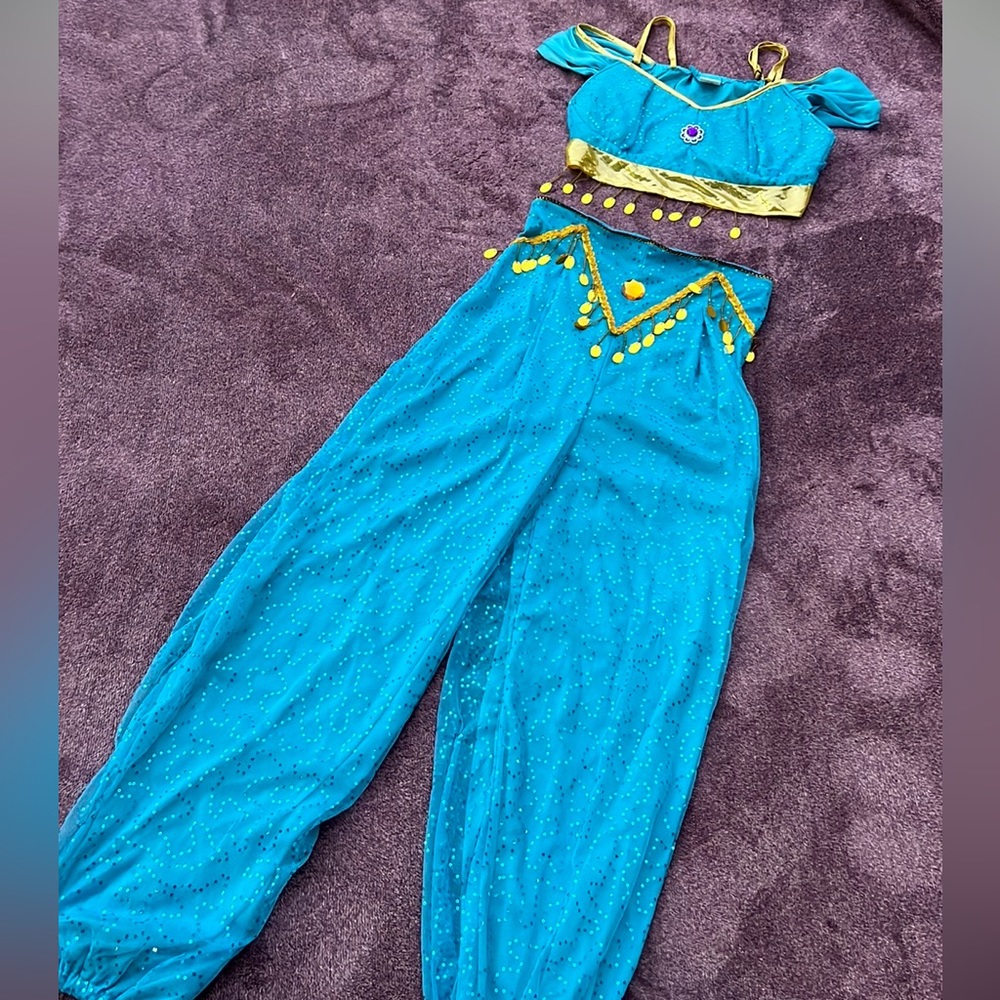 Jasmine Costume